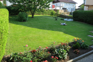 marias-backyard-grass-perfect-for-lying-on_7463245664_o