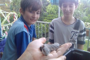 image008