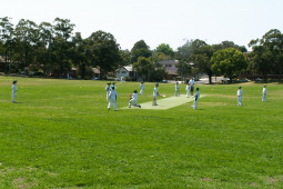 Conrad cricket