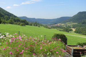 valley-between-geislingen-an-der-steige-and-bad-berkingen_7748622082_o